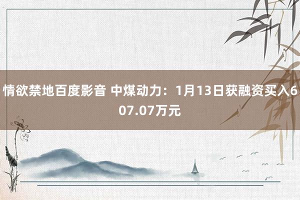 情欲禁地百度影音 中煤动力：1月13日获融资买入607.07万元