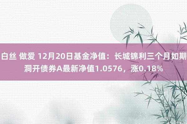 白丝 做爱 12月20日基金净值：长城锦利三个月如期洞开债券A最新净值1.0576，涨0.18%