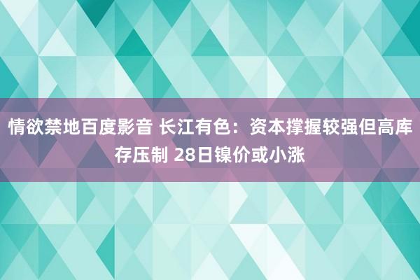 情欲禁地百度影音 长江有色：资本撑握较强但高库存压制 28日镍价或小涨