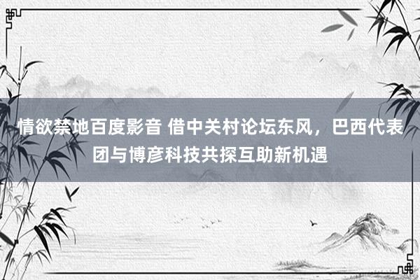 情欲禁地百度影音 借中关村论坛东风，巴西代表团与博彦科技共探互助新机遇