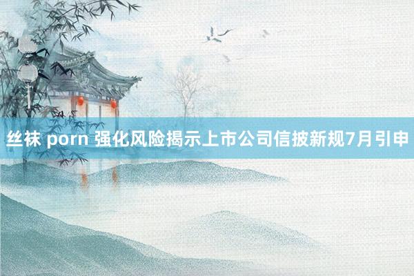 丝袜 porn 强化风险揭示上市公司信披新规7月引申