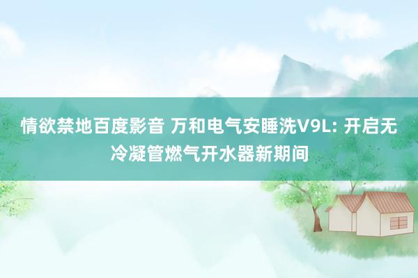 情欲禁地百度影音 万和电气安睡洗V9L: 开启无冷凝管燃气开水器新期间