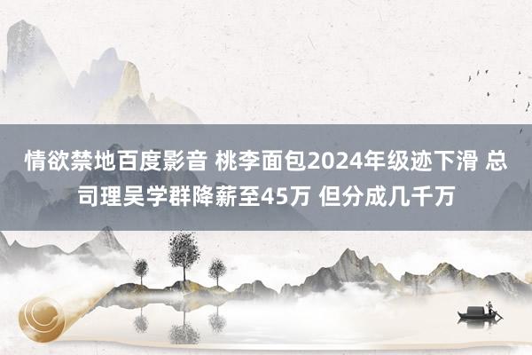 情欲禁地百度影音 桃李面包2024年级迹下滑 总司理吴学群降薪至45万 但分成几千万