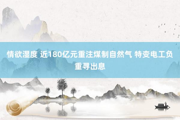 情欲湿度 近180亿元重注煤制自然气 特变电工负重寻出息