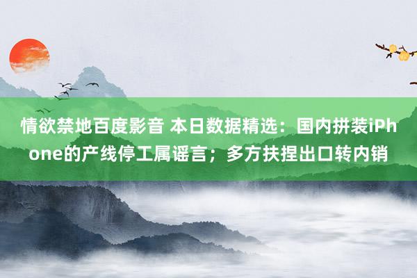 情欲禁地百度影音 本日数据精选：国内拼装iPhone的产线停工属谣言；多方扶捏出口转内销