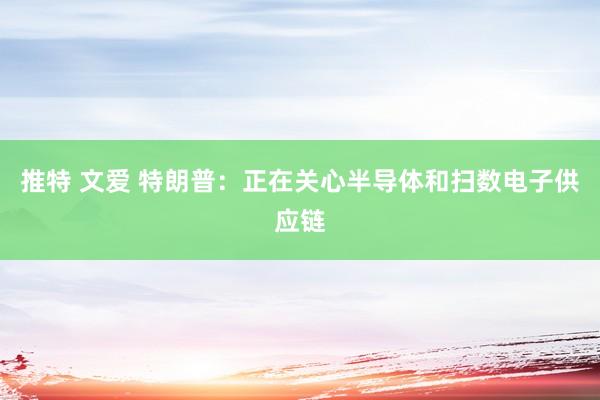 推特 文爱 特朗普：正在关心半导体和扫数电子供应链