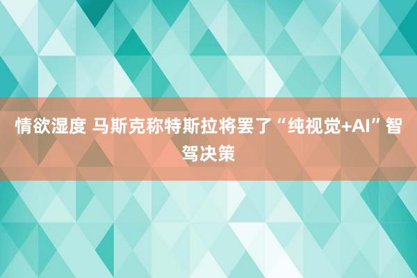 情欲湿度 马斯克称特斯拉将罢了“纯视觉+AI”智驾决策