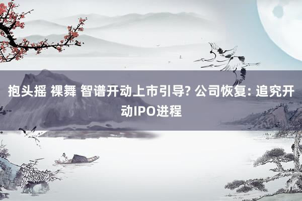 抱头摇 裸舞 智谱开动上市引导? 公司恢复: 追究开动IPO进程