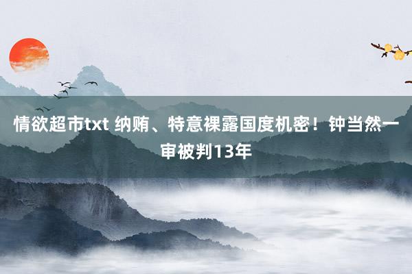 情欲超市txt 纳贿、特意裸露国度机密！钟当然一审被判13年