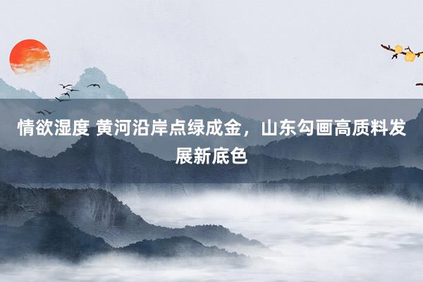 情欲湿度 黄河沿岸点绿成金，山东勾画高质料发展新底色