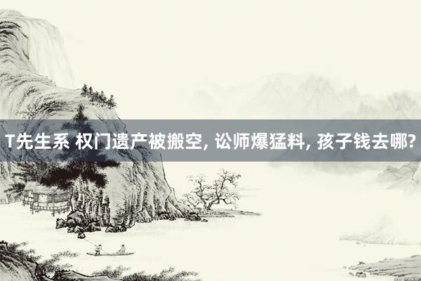 T先生系 权门遗产被搬空， 讼师爆猛料， 孩子钱去哪?
