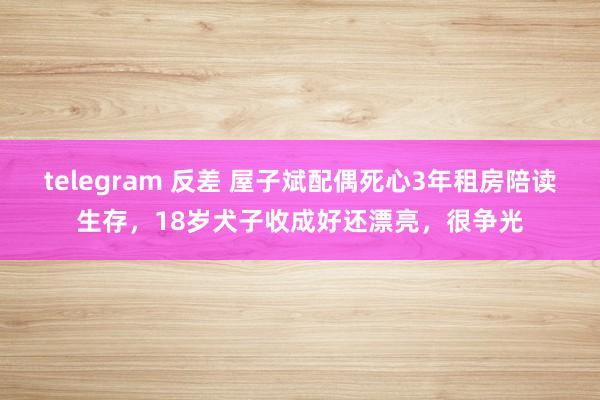 telegram 反差 屋子斌配偶死心3年租房陪读生存，18岁犬子收成好还漂亮，很争光